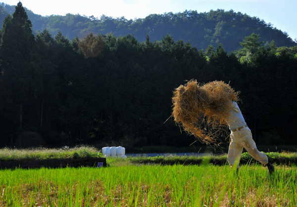 彼岸花から離れて・・・３．_e0064375_8501847.jpg