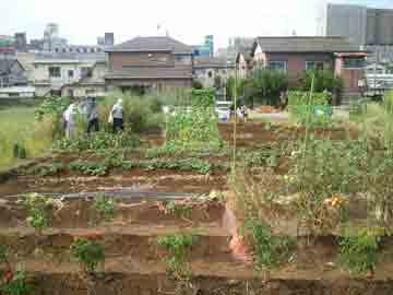 2012年9月2日 和光の畑 訪問_d0259876_22511494.jpg