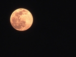 f0200477_2515214.jpg