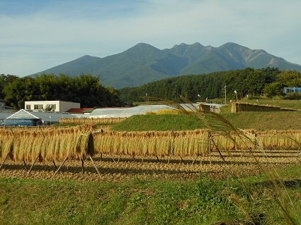 小淵沢の工場より　＾＾_a0211886_10898.jpg