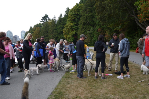 2012 Paws for Cause@スタンレーパーク_d0129786_15144245.jpg