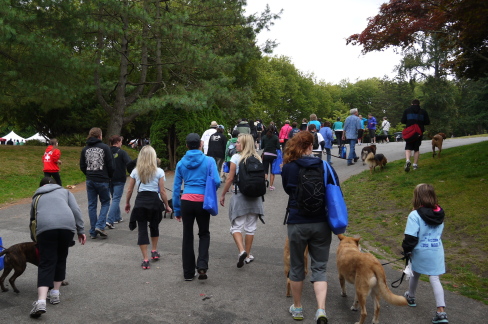 2012 Paws for Cause@スタンレーパーク_d0129786_15192684.jpg