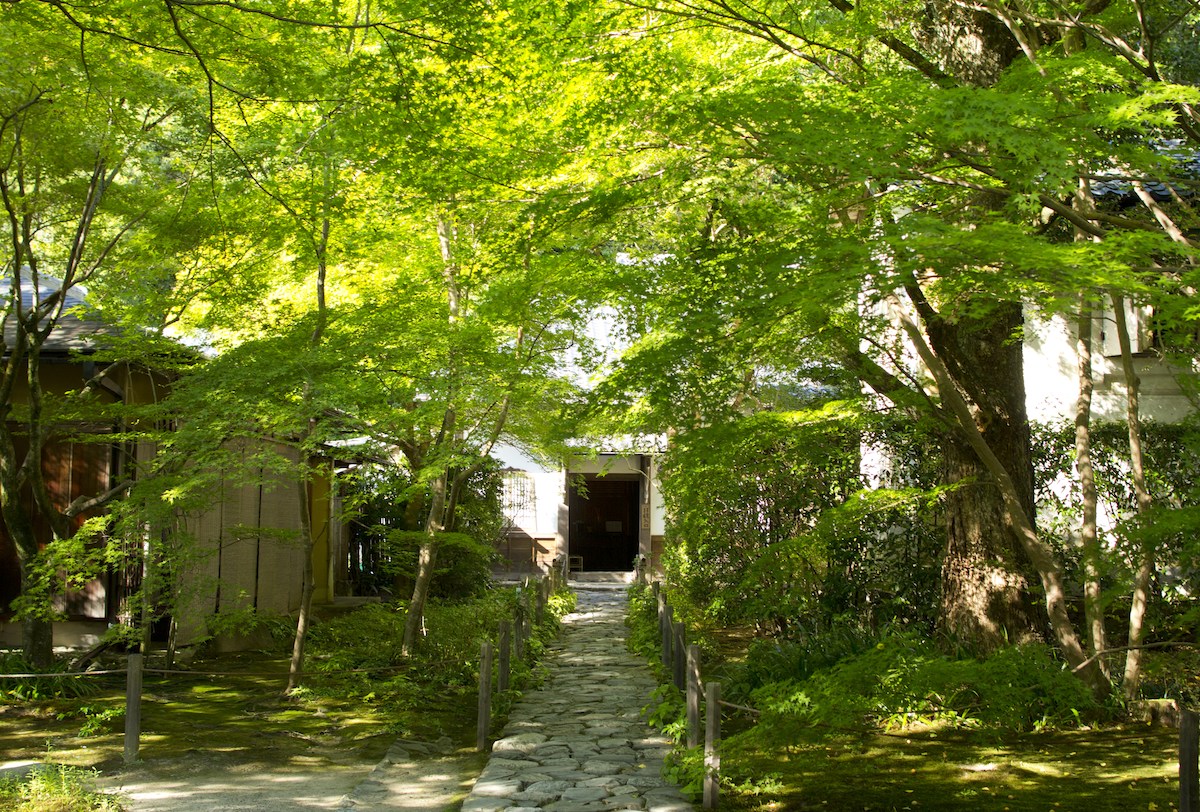 b0188590_15325276.jpg