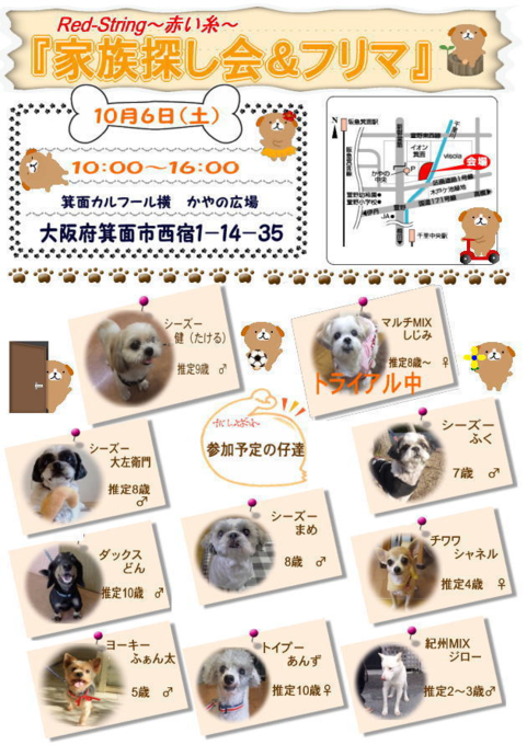 b0237894_18543248.png