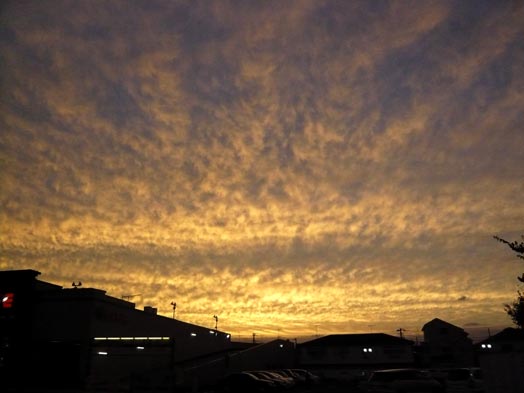 c0124998_0474470.jpg