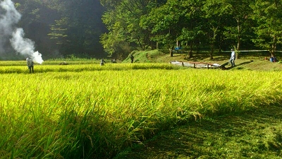 e0270403_16305584.jpg