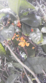 a0286304_23233292.jpg