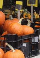 ニューヨークの青空市場はすっかり収穫の秋です_b0007805_23521987.jpg