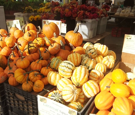 ニューヨークの青空市場はすっかり収穫の秋です_b0007805_23525265.jpg