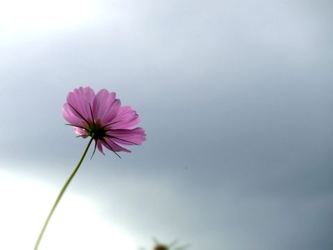 e0117805_20544629.jpg