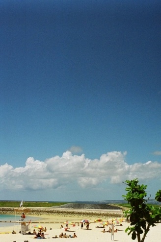 f0177305_1581249.jpg