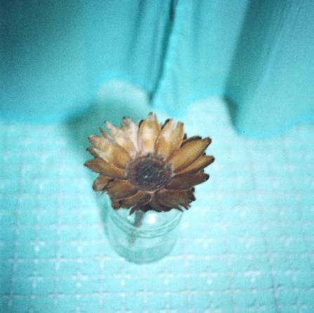 f0177305_24414.jpg