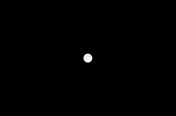 c0056707_2043472.jpg