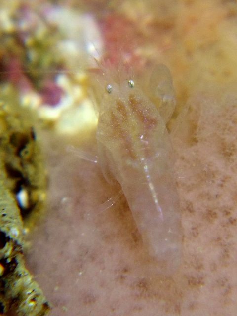 d0175710_1011379.jpg