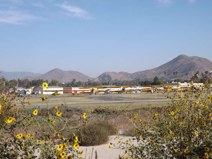 a0144811_66092.jpg