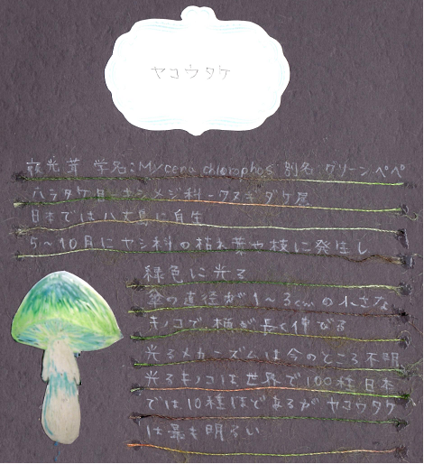 b0251211_2230063.png