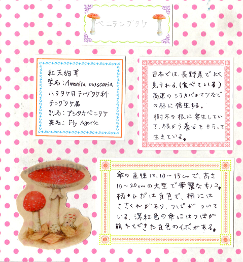 b0251211_22335243.png