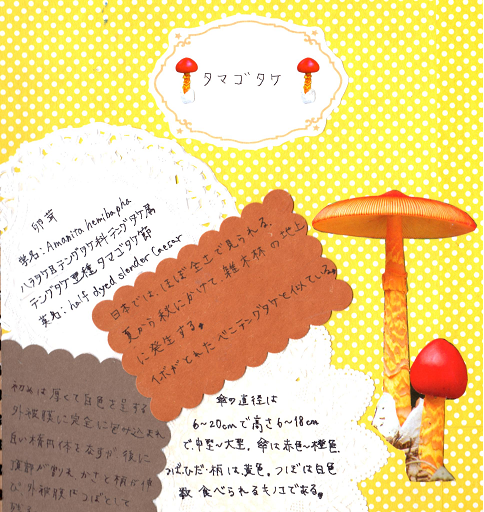 b0251211_22364085.png