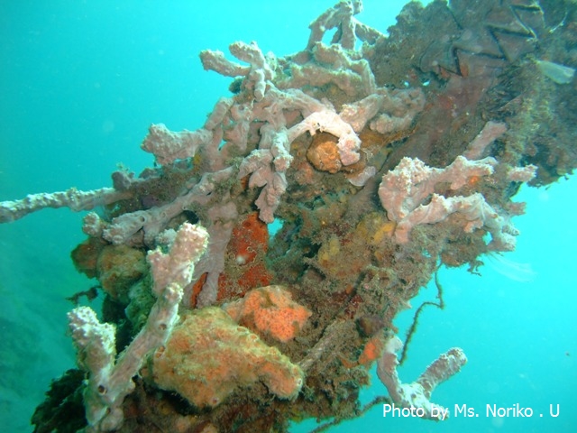 最後のお魚を探せ!_c0211615_8412153.jpg