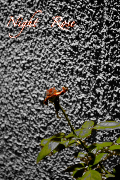 b0147329_9391091.jpg