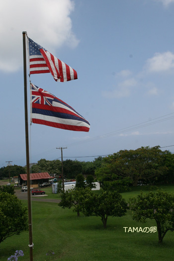 c0024729_13351626.jpg