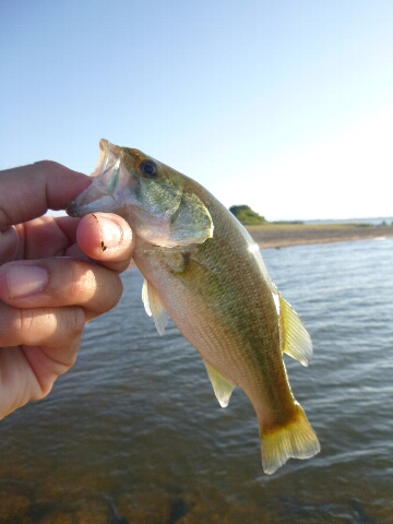 ウェーディング琵琶湖_c0113733_1312235.jpg