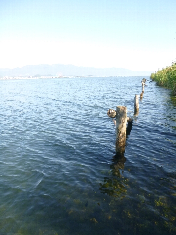 ウェーディング琵琶湖_c0113733_1371297.jpg