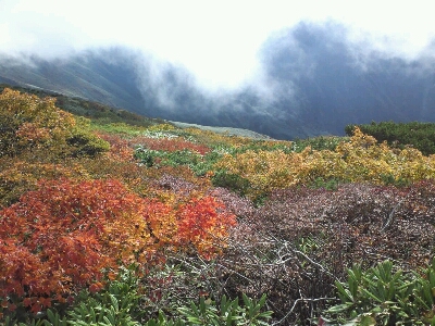 紅葉の谷川岳_d0107938_6125545.jpg