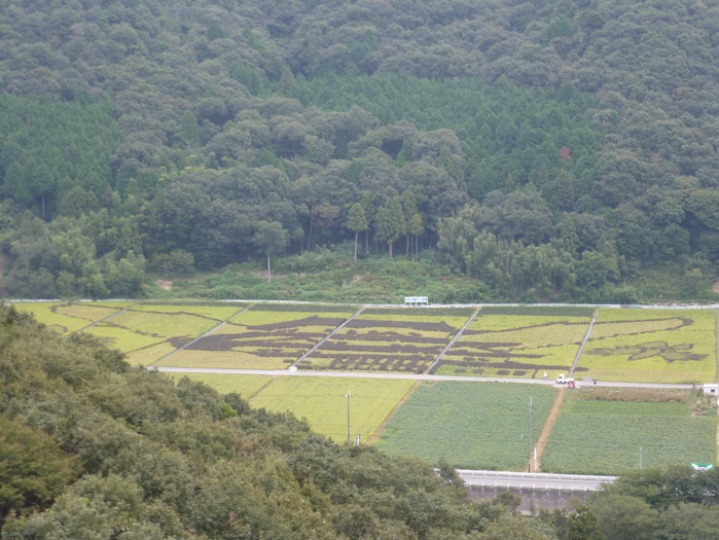 b0042439_542257.jpg