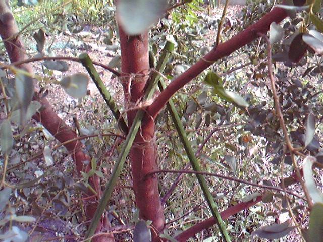 c0076939_16162120.jpg