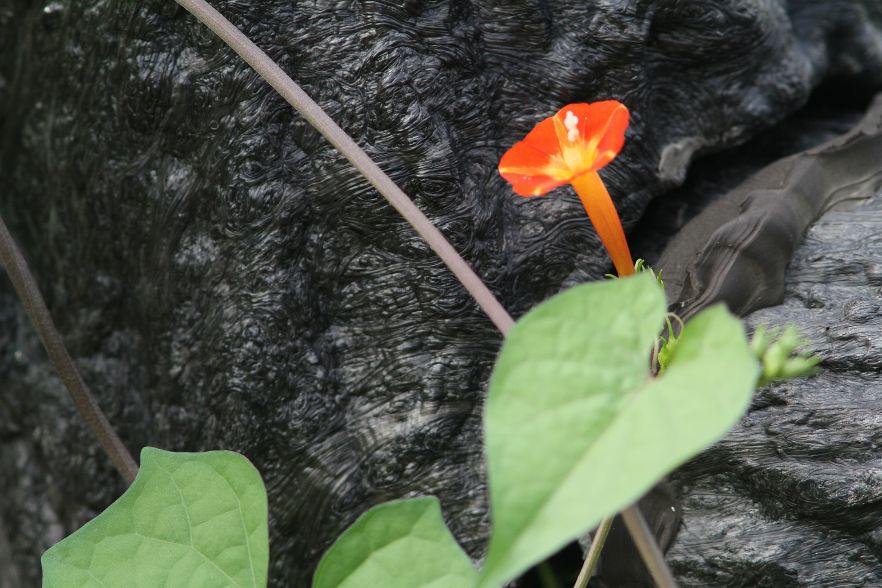 c0172139_1012690.jpg