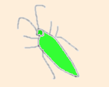 d0039443_0153060.gif