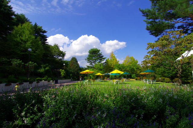 d0186245_2234689.jpg