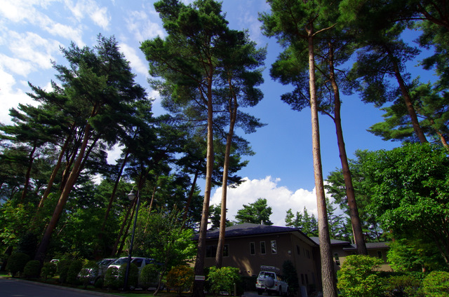 d0186245_2272335.jpg