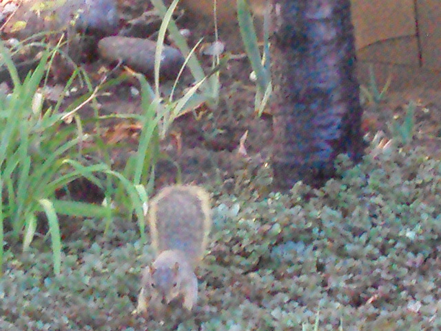 a0204348_23242.jpg