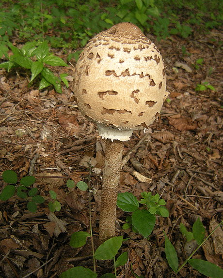 a0001354_2235387.gif