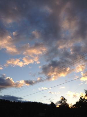a0215155_2135765.jpg