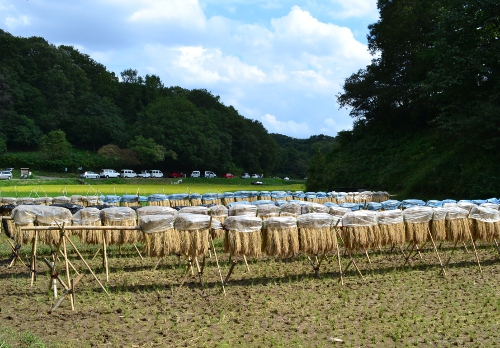 田園風景を見に行こう_c0039167_1834196.jpg