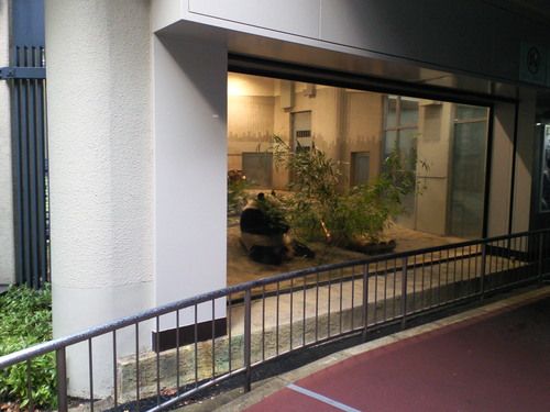 f0117673_22193140.jpg