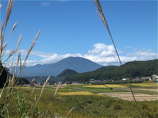 f0186275_2192942.jpg