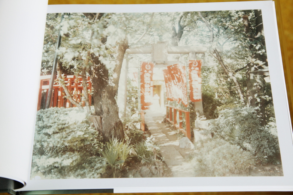 サイン入】鈴木理策 / Torii Torii（Signed） - 鈴木 理策