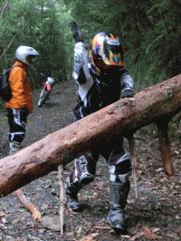 d0179983_2134710.gif