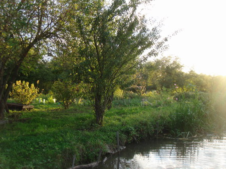 a0247585_51203.jpg