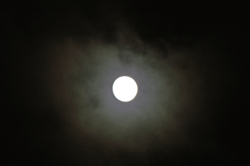 b0134285_2024256.gif