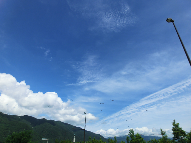 b0159790_826578.jpg