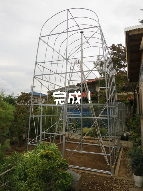 安行スカイツリー 骨組み完成！_b0200291_1951878.jpg