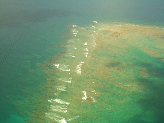d0181492_21235661.jpg