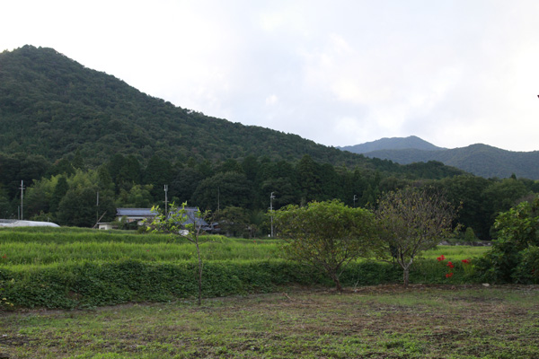 幾田晴子さんの器_e0205196_19434610.jpg