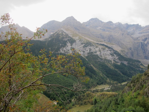 a0127398_1303190.jpg