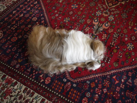 c0090198_32514.jpg